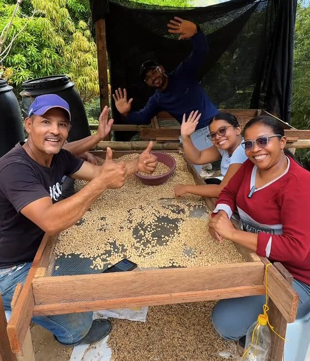 café orgánico libre de químicos cali